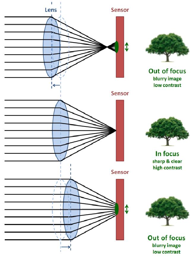 how contrast detection autofocus works