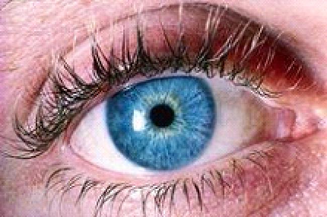 Human Eye Pixel density
