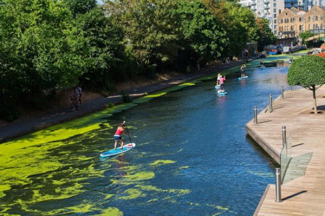 Paddleboarding while picking up litter.