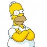 homersims