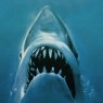 the_legendary_shark